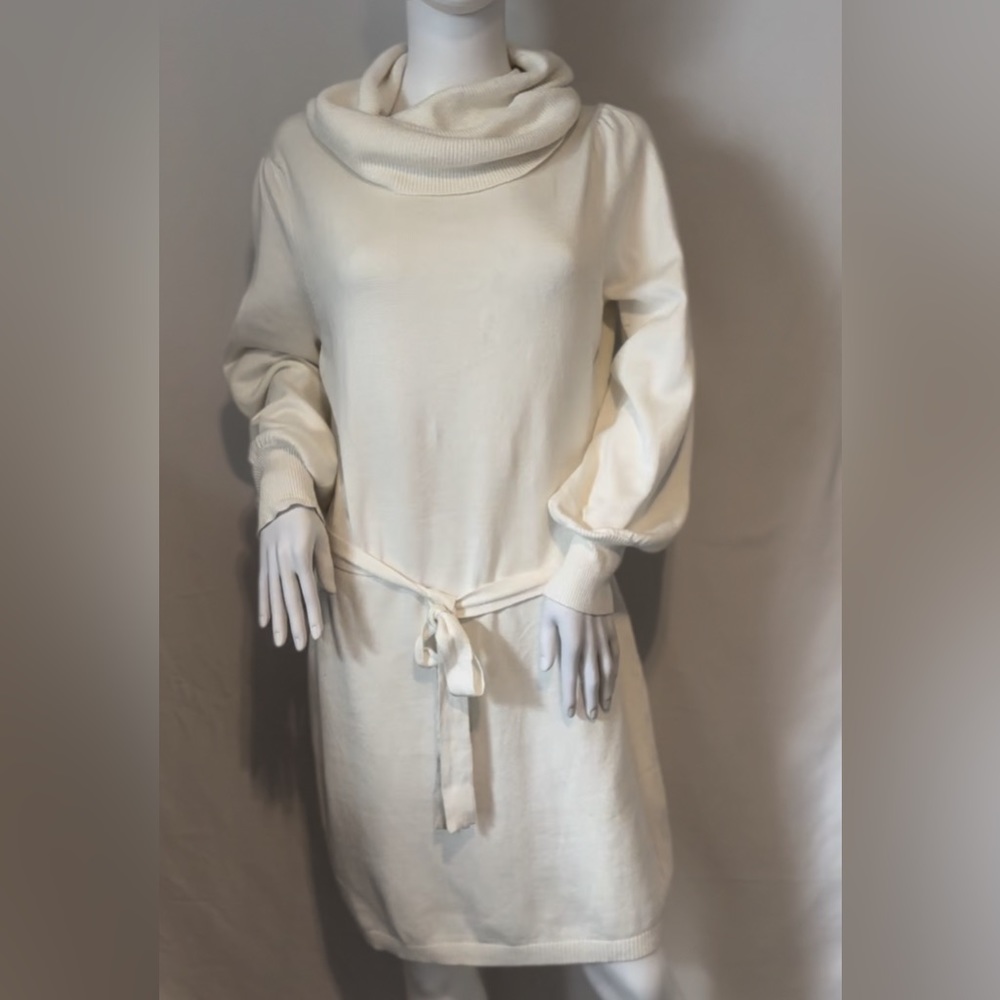 Sam Edelman Cowl Neck Long Sleeve Sweater Dress